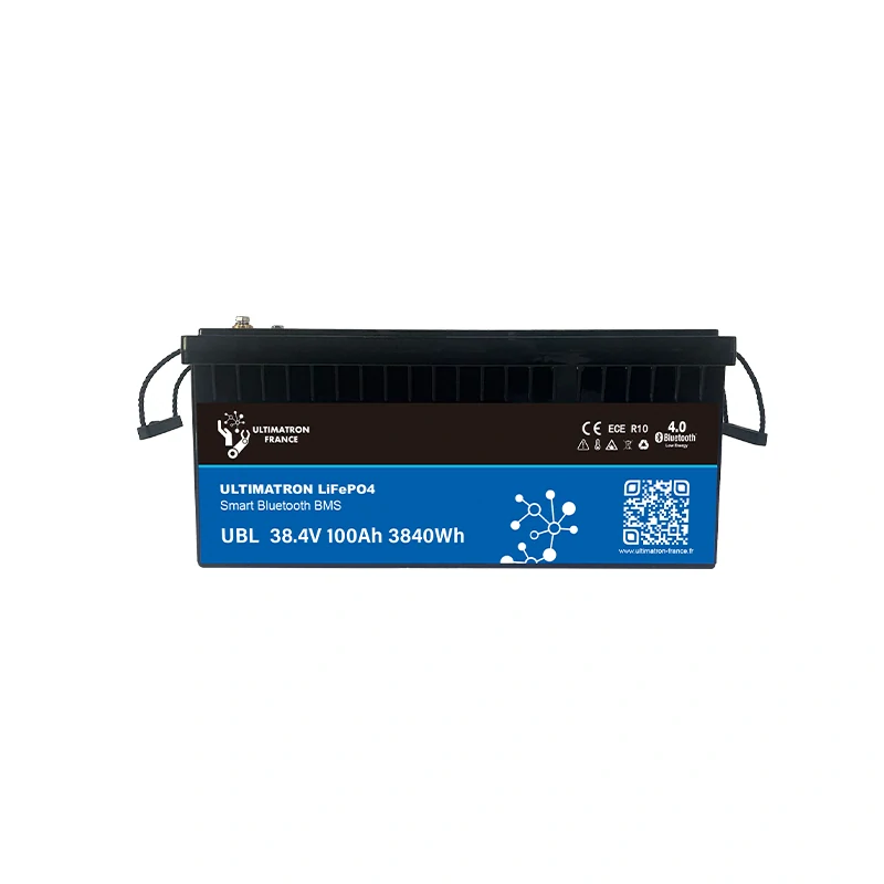 LiFePO4バッテリー 36V 60Ah Bluetooth 充電器付（Baterie LiFePO4 36V 